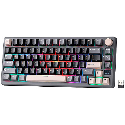 ROYAL KLUDGE RK-M75 Phantom Gaming Keyboard Beige switch - 2